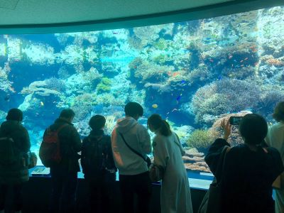 美ら海水族館見学