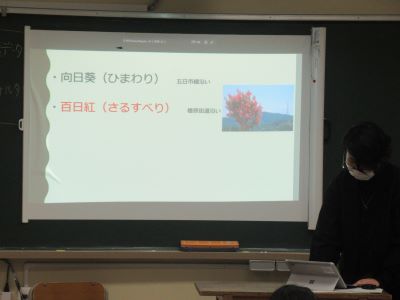 五日市の花(1年)