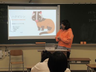 五日市の動物(1年)