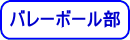バレーボール部